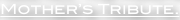 shapeimage_2_link_0