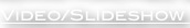 shapeimage_2_link_0